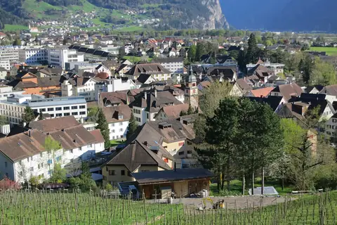Ansicht von Altdorf