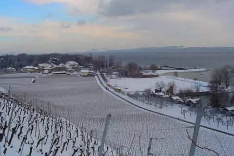 Ansicht von Cortaillod