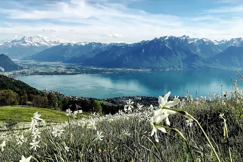 Ansicht von Montreux